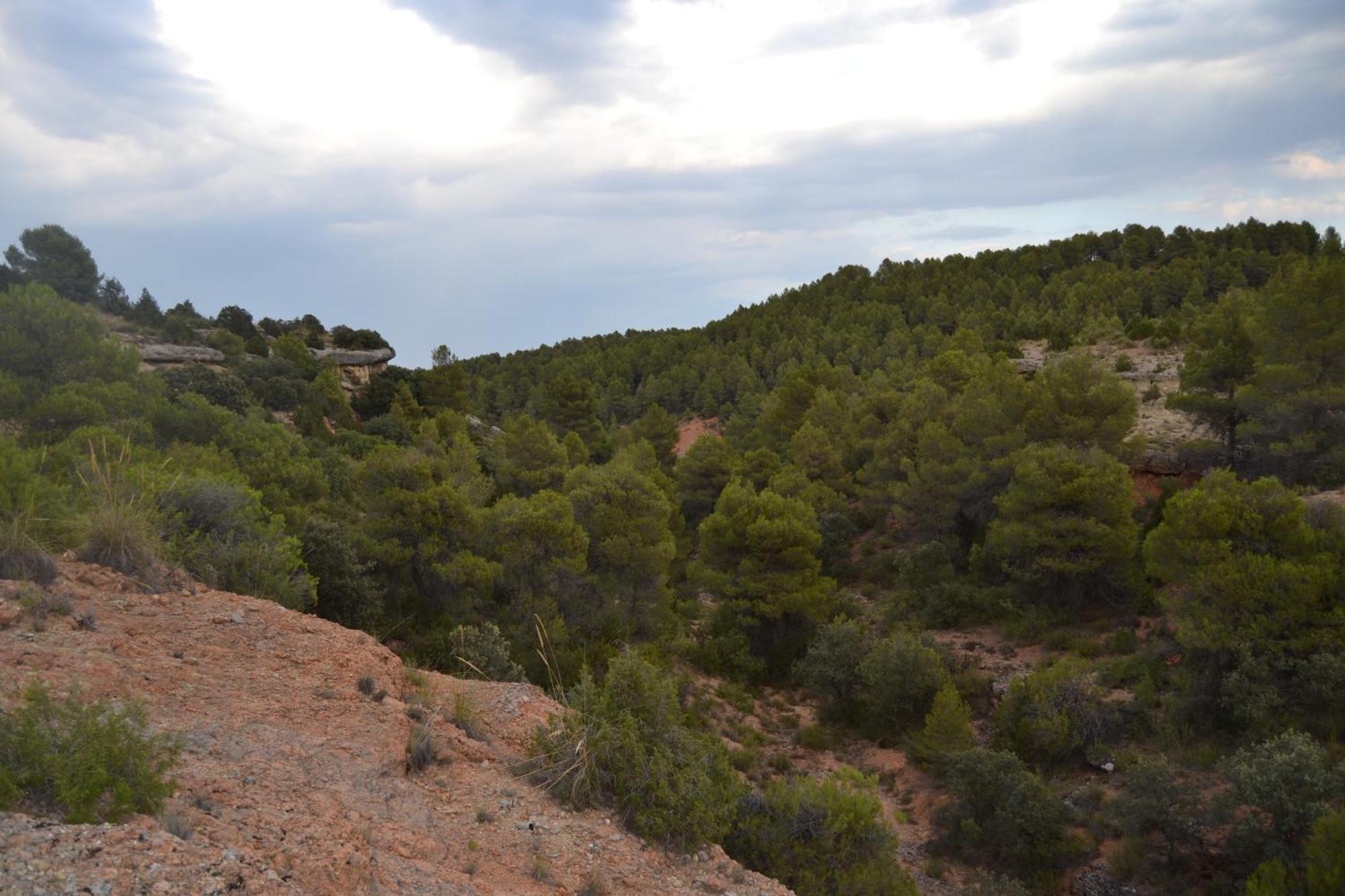 Las Casas De La Vega Enguídanos Dış mekan fotoğraf